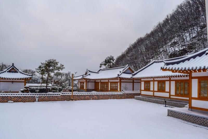 용인 한옥펜션수진당 (Yongin Hanok Pension Sujindang)