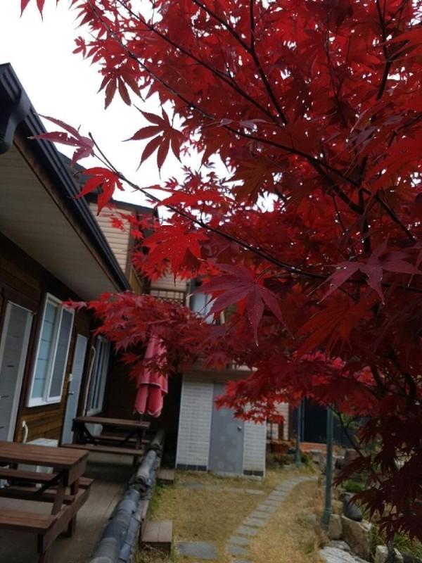 경주 해와달펜션 (Gyeongju Sun and Moon Pension)