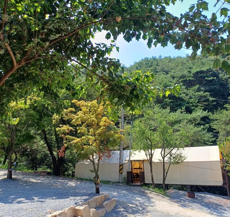 제천 청풍월드니스글램핑 (Jecheon Cheongpung World Nice Glamping)