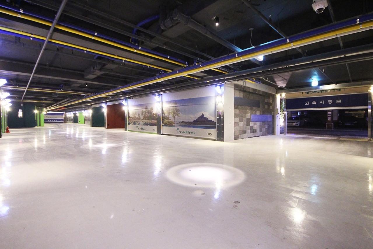 포항 죽도시장 타히티 (Pohang Jukdo Market Tahiti)