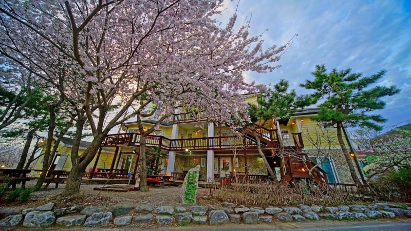 부안(변산반도) 바다여행펜션 (Buan (Byeonsanbando) sea journey Pension)