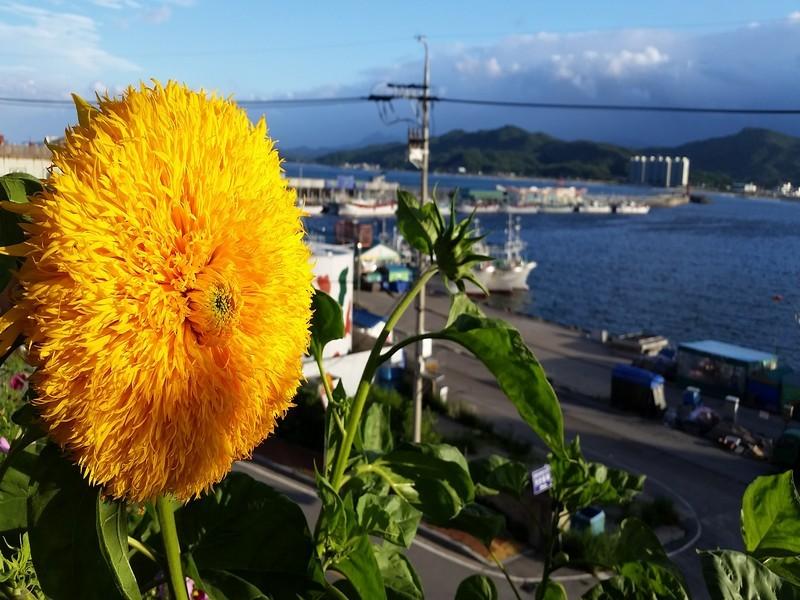 산들산들 고성 펜션 (Softwind Goseong Pension)