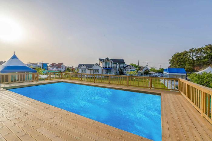 Conch Catching Dog Pension