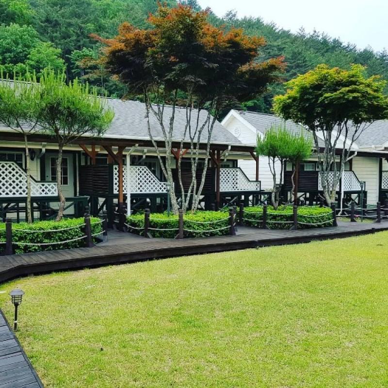 평창 강애산애펜션(휘닉스파크 차량 10분) (Pyeongchang Gangaesanae Pension)