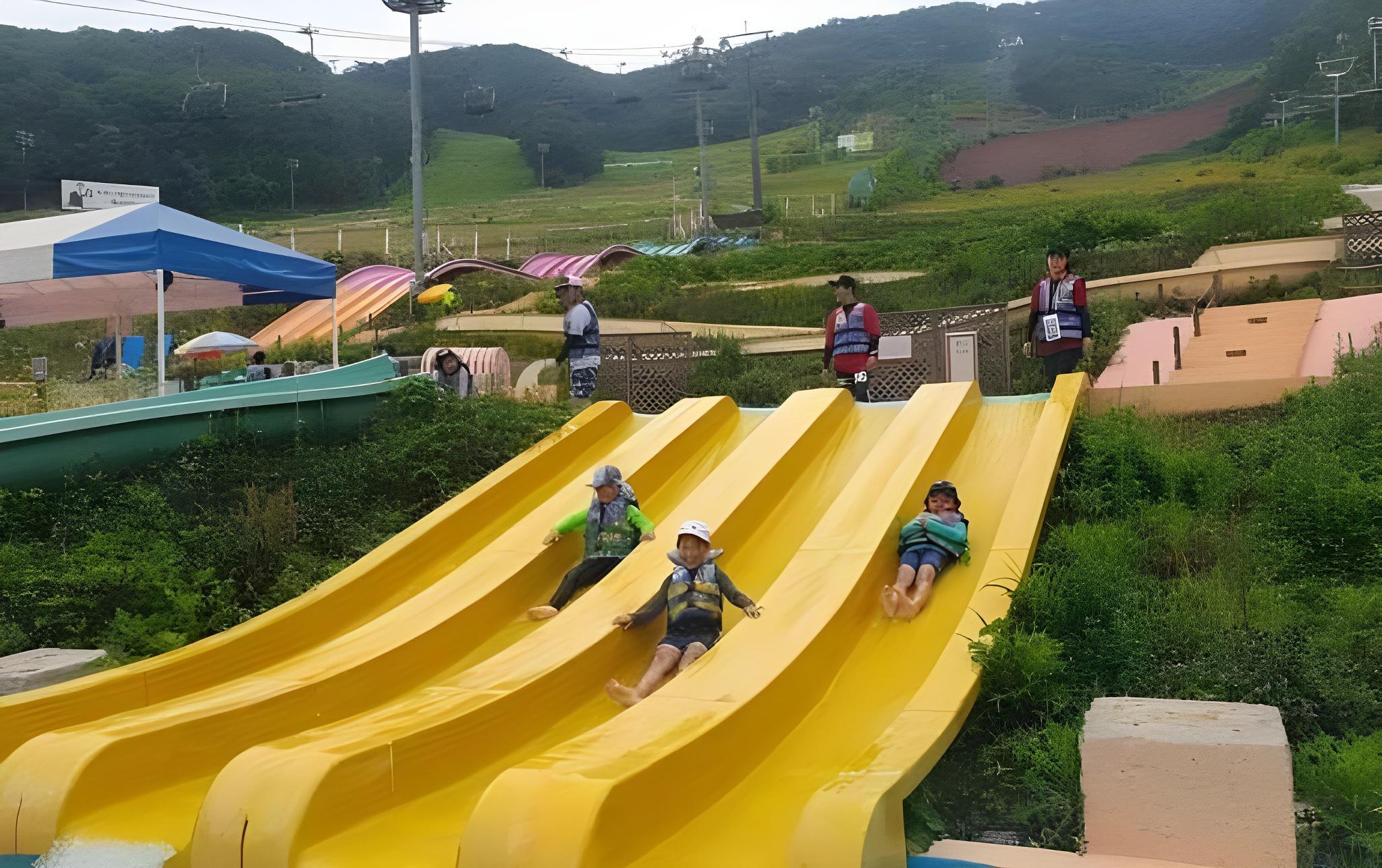 양지 파인 리조트 (Yangji Pine Resort)