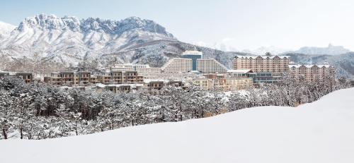 소노펠리체  델피노 (Sono Felice Delpino)