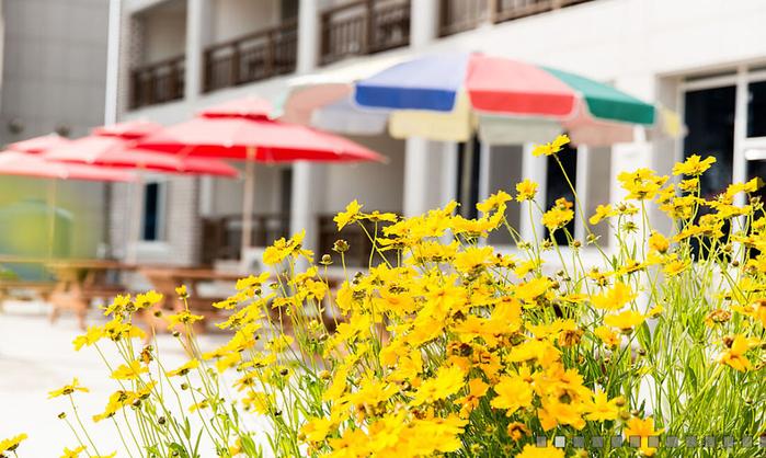 Wando Star Beach Pension