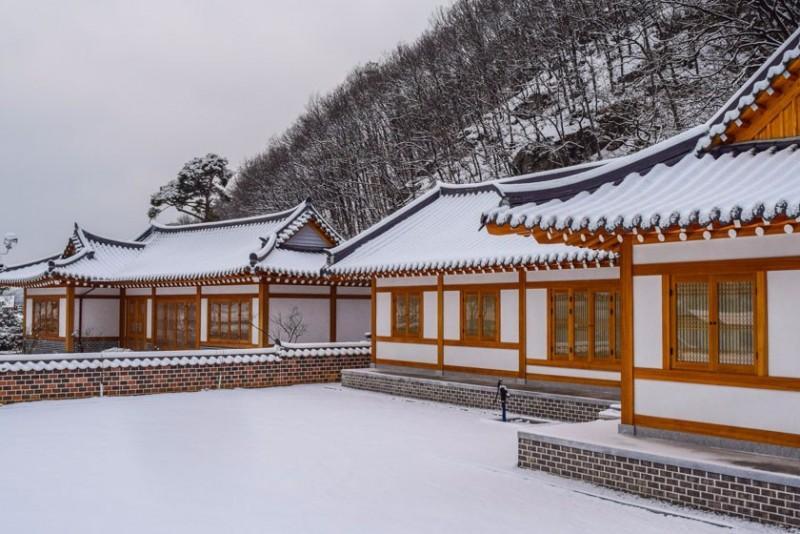 용인 한옥펜션수진당 (Yongin Hanok Pension Sujindang)