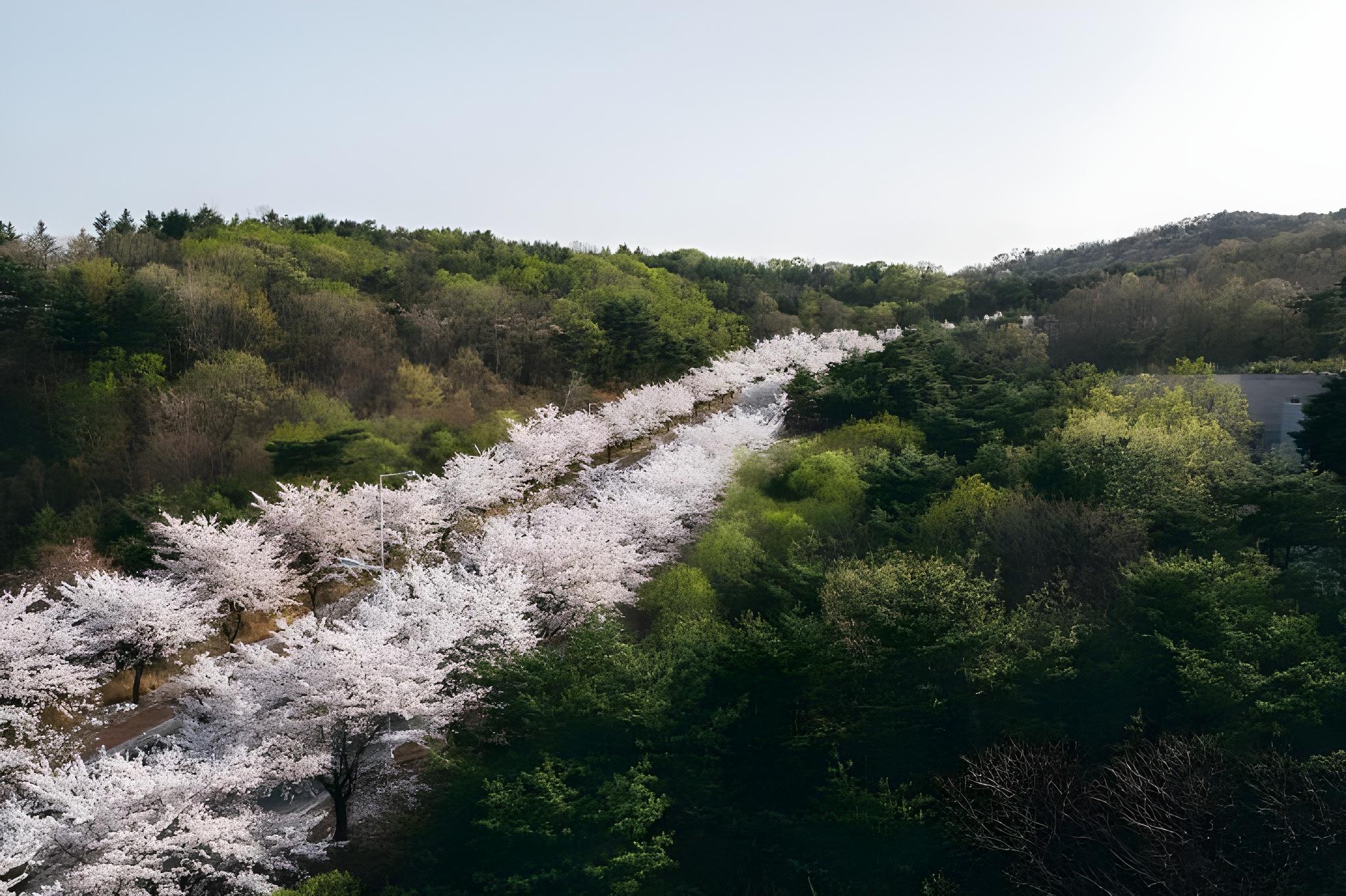 강동리조트 (구, 블루원) (Gangdong Resort (formerly Blue One))