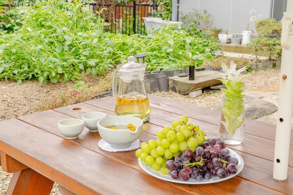 보성 지혜 한옥 민박 (Boseong Jihye Hanok Guesthouse)