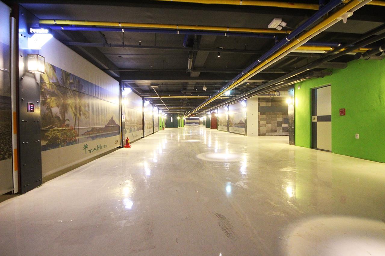 포항 죽도시장 타히티 (Pohang Jukdo Market Tahiti)