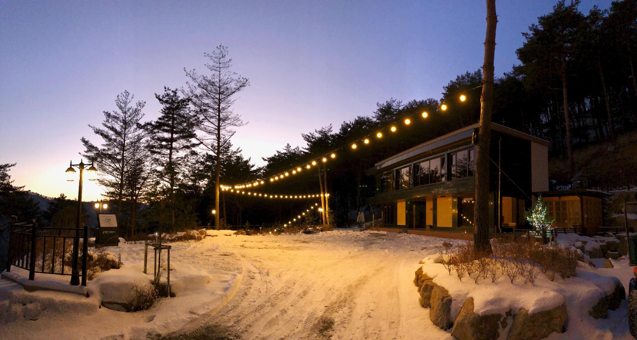 별들의 기침 펜션 (byeoldeulyi gicim pensyeon)