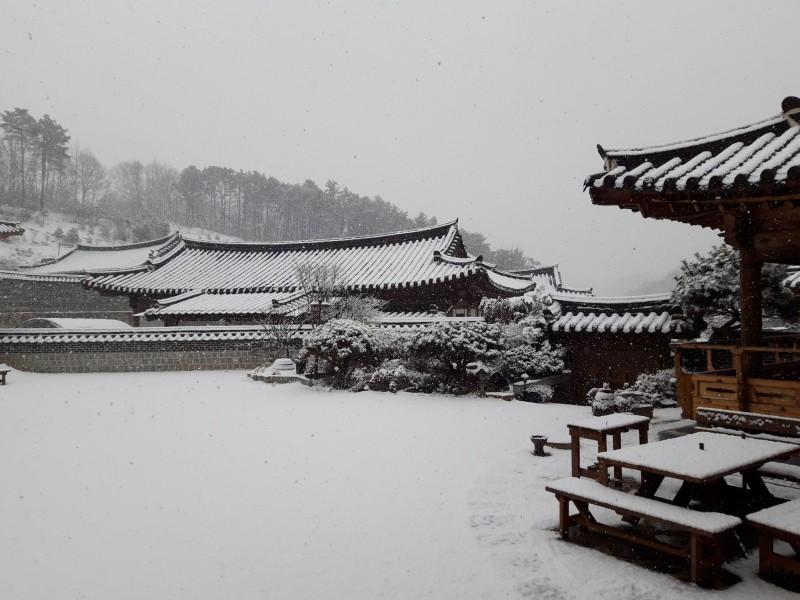 청주 솔향 한옥 펜션 (Cheongju Solhyang Hanok Pension)