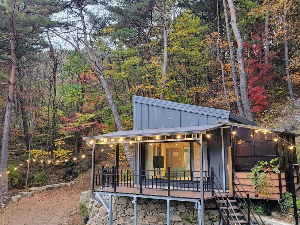 다온숲펜션 (Daon Forest Pension)