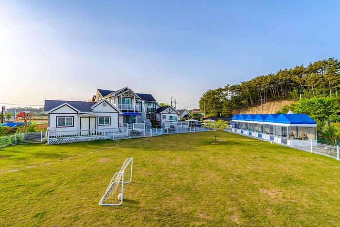 Conch Catching Dog Pension