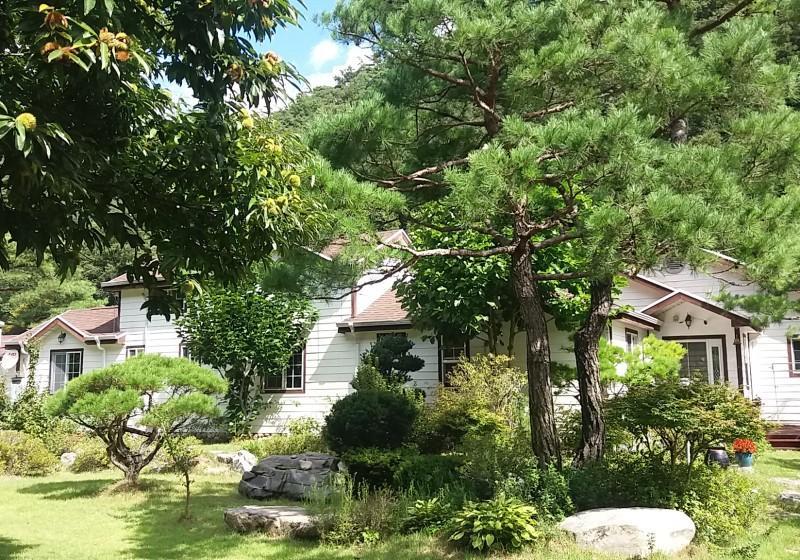 단양 어울림펜션 (Danyang Eowoolim Pension)