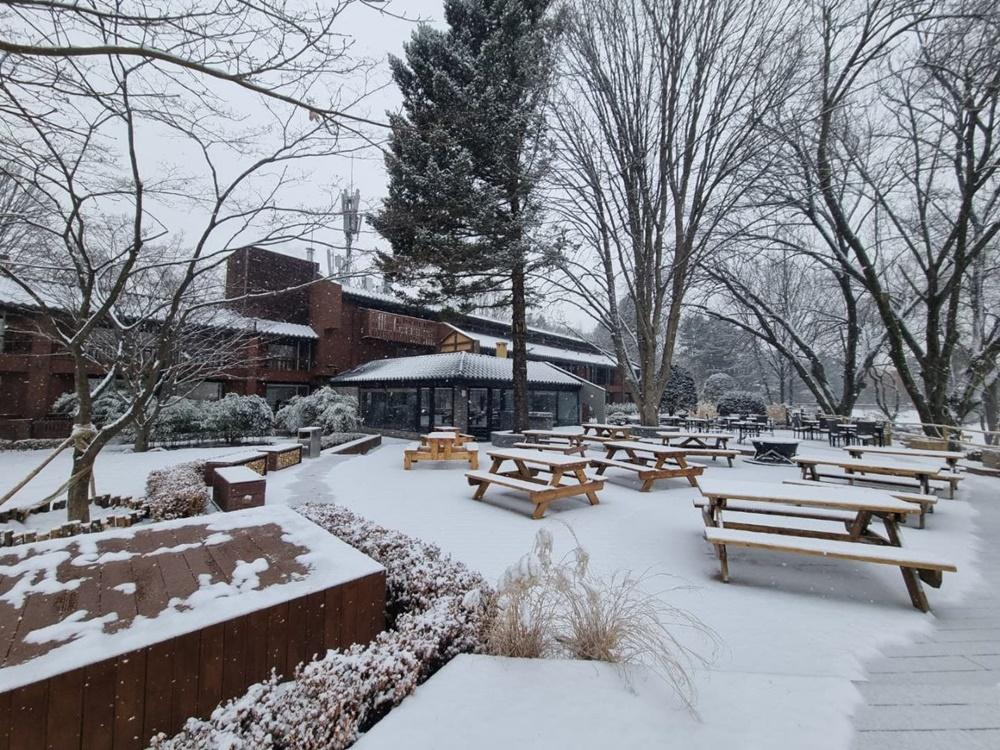 남이섬 호텔 정관루 (Nami Island Hotel Jeonggwanru)