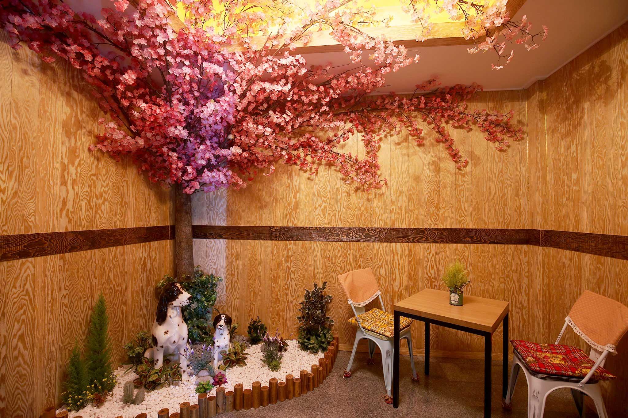 논산 딸기 (Nonsan strawberry)