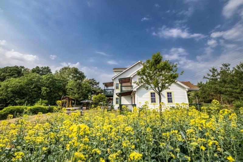 제천 청풍하트레이크펜션 (Jecheon Cheongpung Heart Lake Pension)