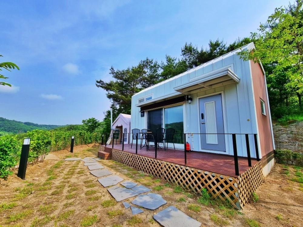 배때기네하우스 (Baettaegine House)