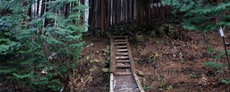 완주 편백숲유하펜션 (Wanju Cypress Forest Yuha Pension)