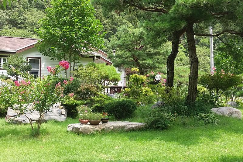 단양 어울림펜션 (Danyang Eowoolim Pension)