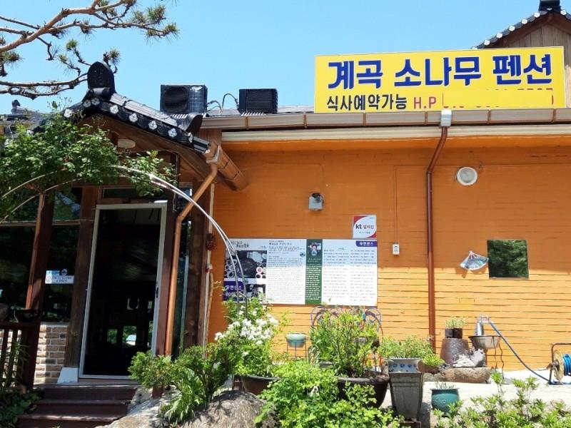 양평 계곡소나무펜션 (Yangpyeong Valley Pine Pension)