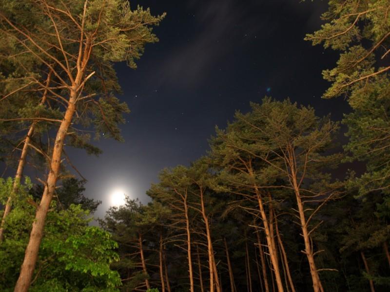 산들산들 고성 펜션 (Softwind Goseong Pension)