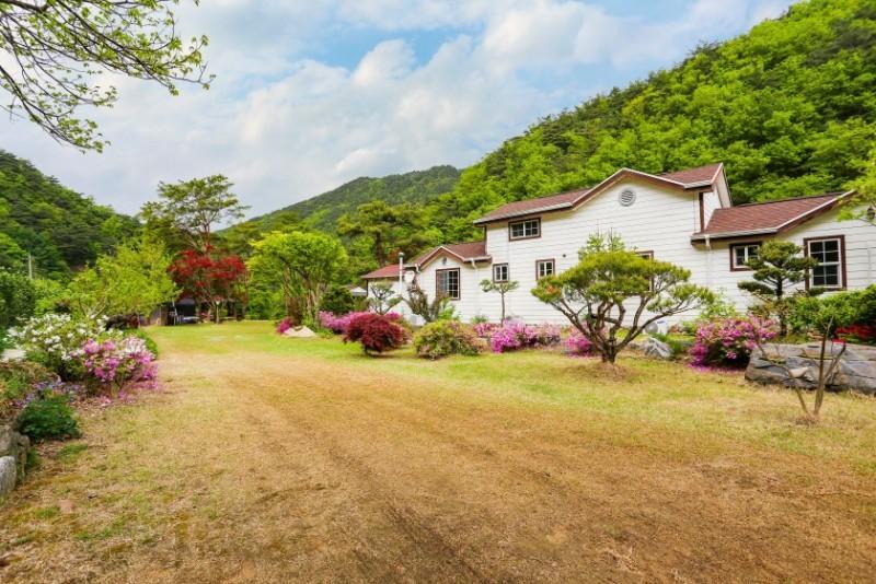 단양 어울림펜션 (Danyang Eowoolim Pension)