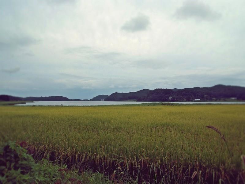 산들산들 고성 펜션 (Softwind Goseong Pension)