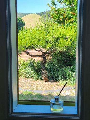 구절초 게스트하우스 (Gujeolcho Guesthouse)