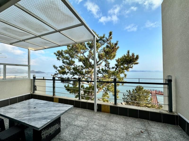 보성 플라밍고 (Boseong Flamingo)