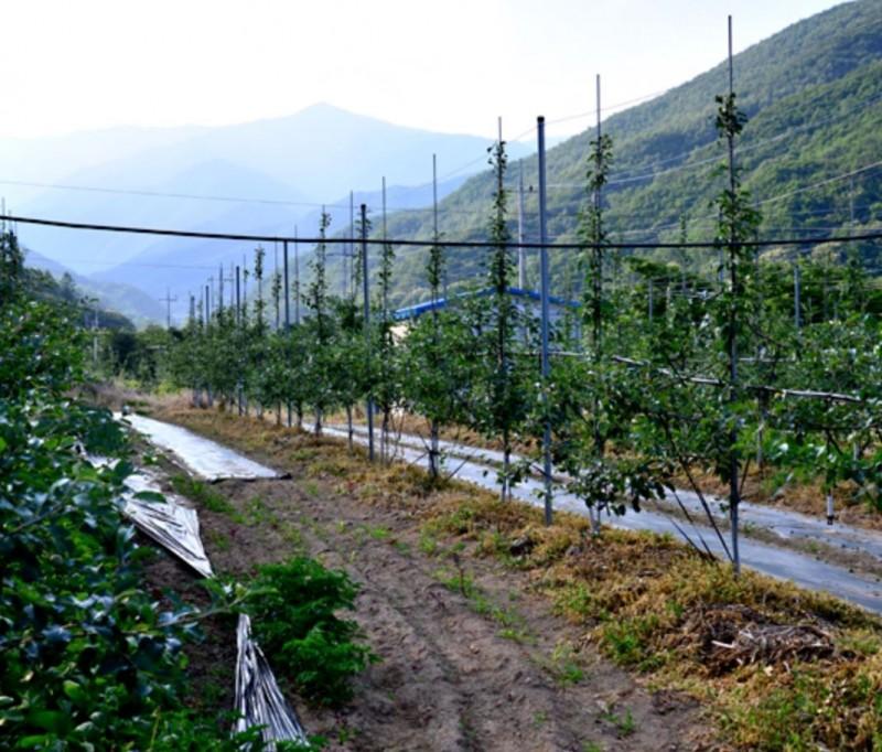 영주 힐링스토리펜션 (Yeongju Healing Story Pension)