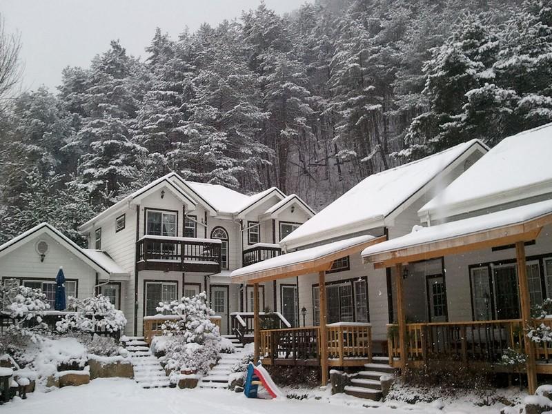 솔내음 펜션 (Sol Smell Pension)