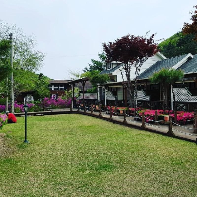 평창 강애산애펜션(휘닉스파크 차량 10분) (Pyeongchang Gangaesanae Pension)