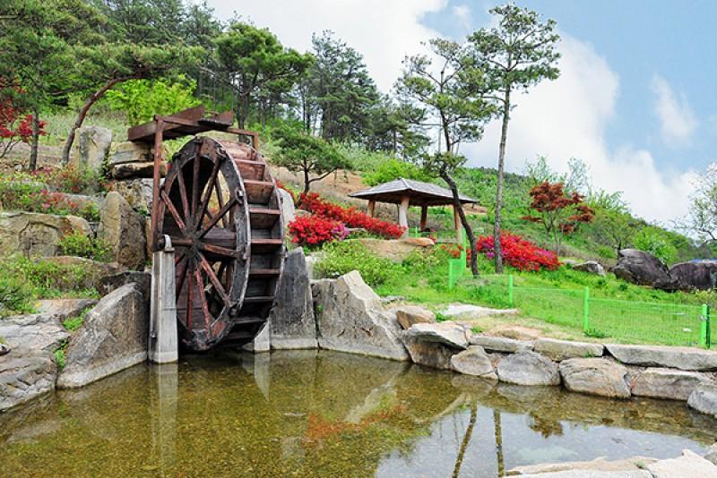 영주 부석사아래단풍길펜션 (Yeongju Buseoksa Maple Pension)