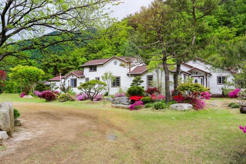 단양 어울림펜션 (Danyang Eowoolim Pension)