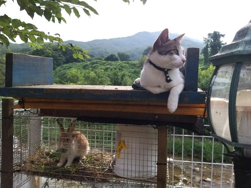 문경 베르체펜션 (Mungyeong Verce Pension)