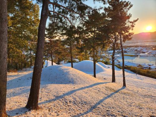 구절초 게스트하우스 (Gujeolcho Guesthouse)