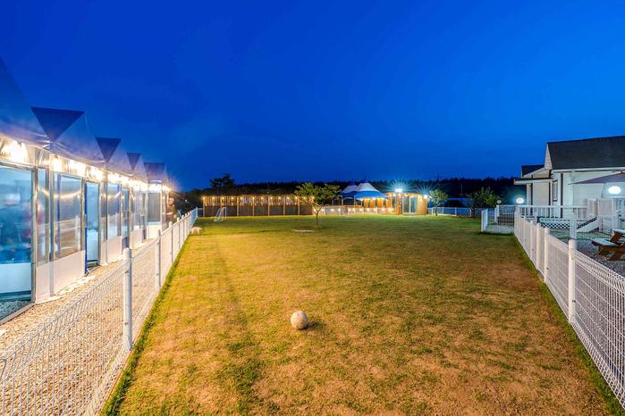 Conch Catching Dog Pension