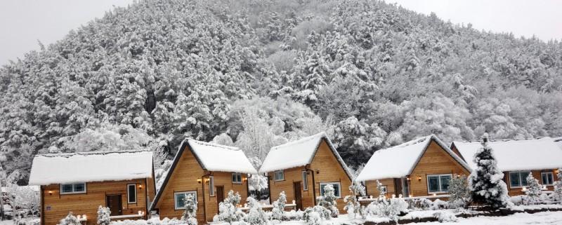 완주 편백숲유하펜션 (Wanju Cypress Forest Yuha Pension)