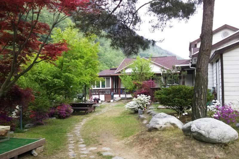 단양 어울림펜션 (Danyang Eowoolim Pension)