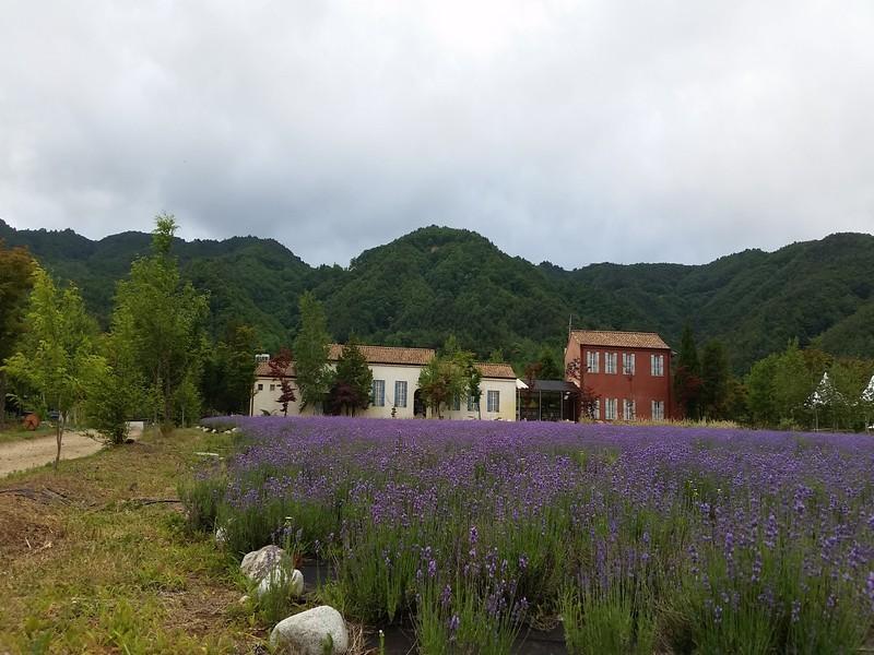 산들산들 고성 펜션 (Softwind Goseong Pension)