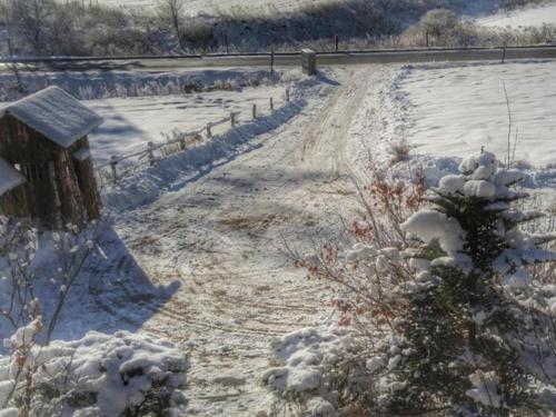 평창 퀸스가든 펜션 (Queens Garden Pension)