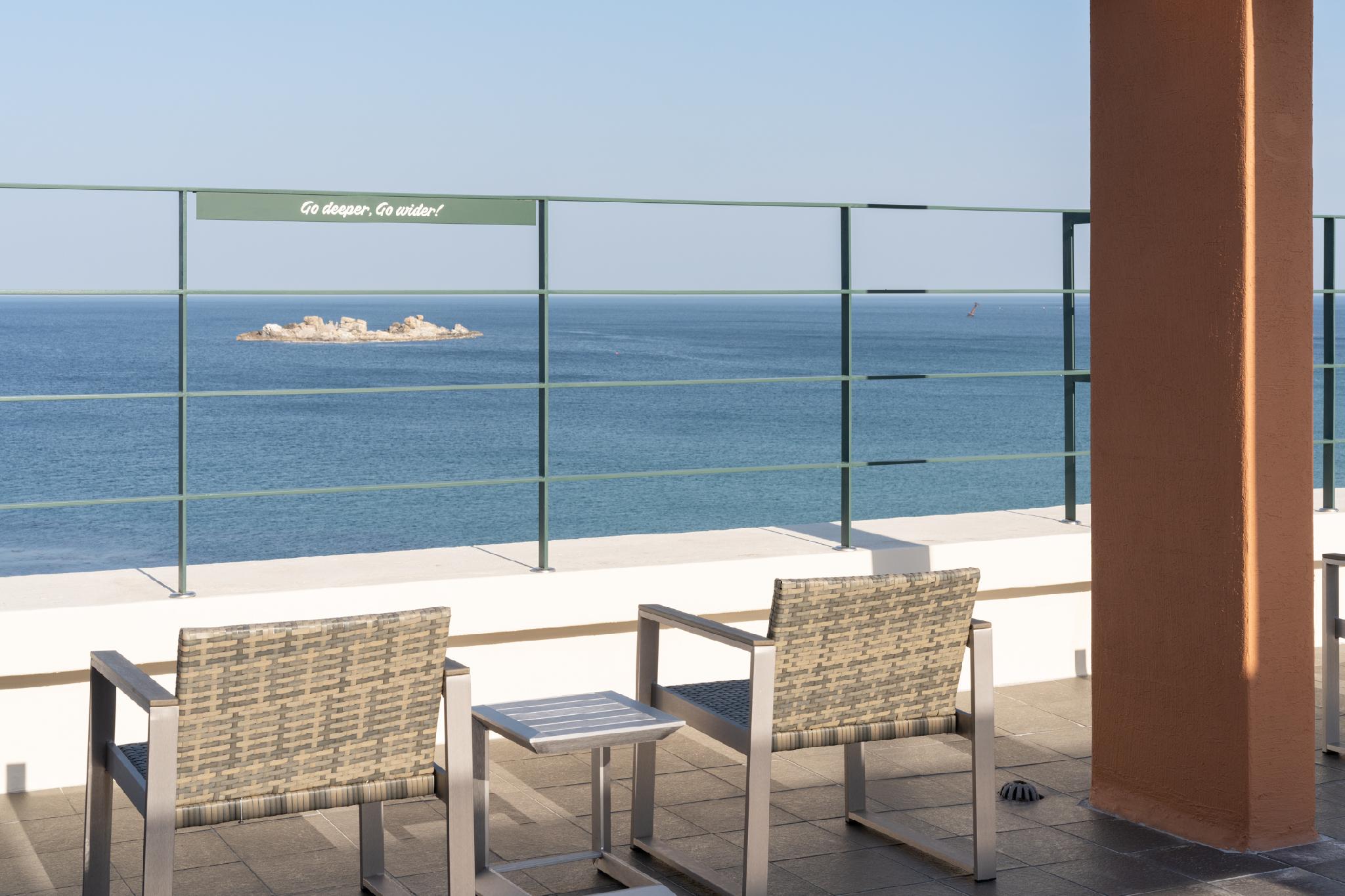 맹그로브 고성 (Mangrove Goseong)