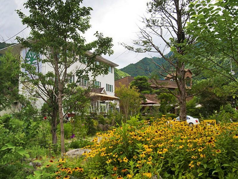굿스테이 소백산에서 펜션 (Goodstay At Sobaeksan Pension)