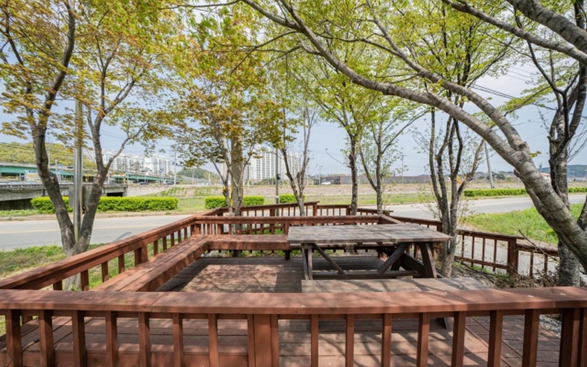 양양 유채꽃향기처럼 (Yangyang Yuchaekkotyanggicheoreom)