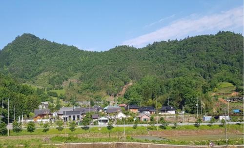 보성 신록 한옥 펜션 (Boseong Greenery Hanok Pension)