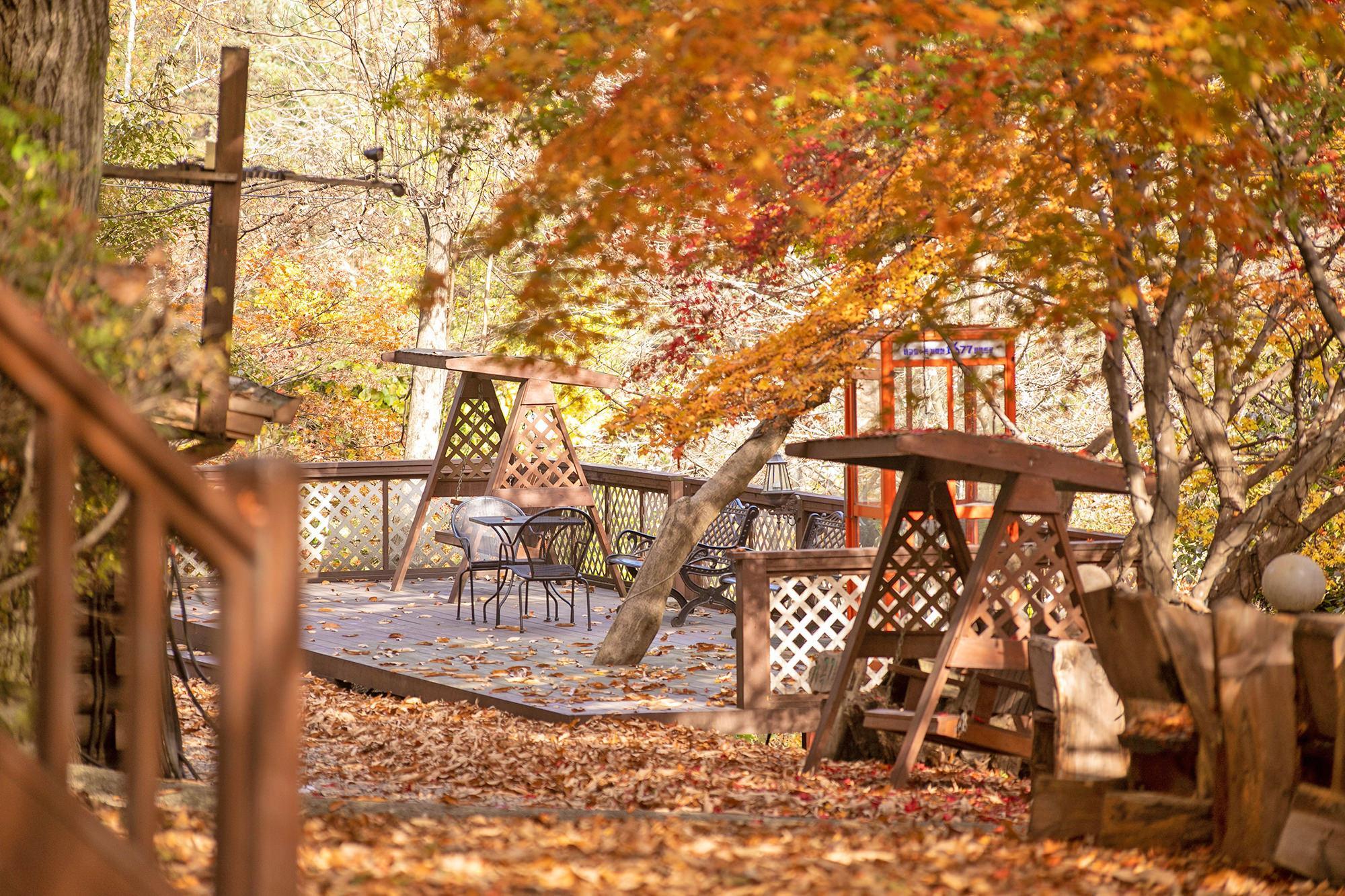 가평 벨리타 펜션 (Gapyeong Belita pension)