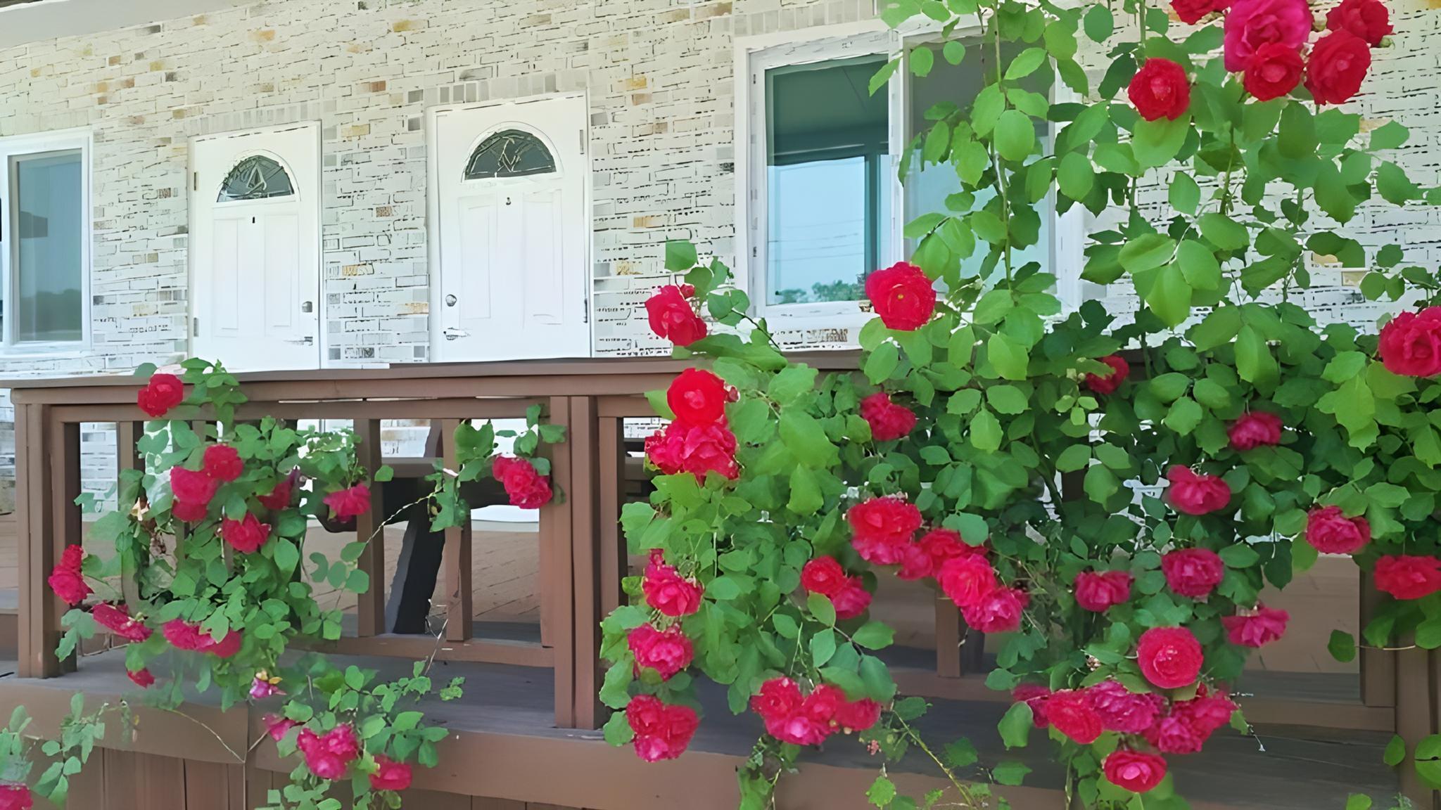 들꽃 펜션 (Nonsan Deulkot Pension)